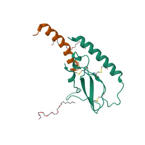 Semaglutide 索马鲁肽 Glucagon Receptor TargetMol