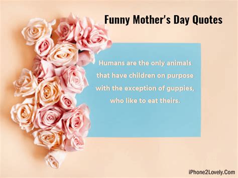 Funny Mothers Day Quotes Wallpapers Shortquotescc