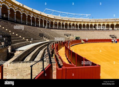 Plaza De Toros De Sevilla El Cultivo En Terrazas La Plaza De Toros