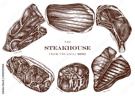 Raw Beef Steaks Vector Illustration Collection Raw Meat Top View