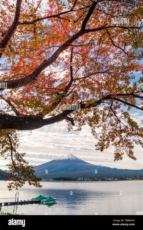 Mount Fuji and Lake Kawaguchiko in Autumn Leaves Stock Photo - Alamy