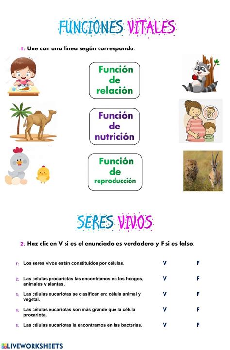 Funciones Vitales De Los Seres Vivos Activity For To The Best Porn