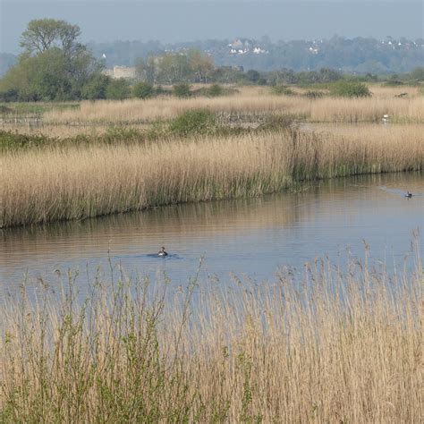 Blog Rye Harbour Nature Reserve