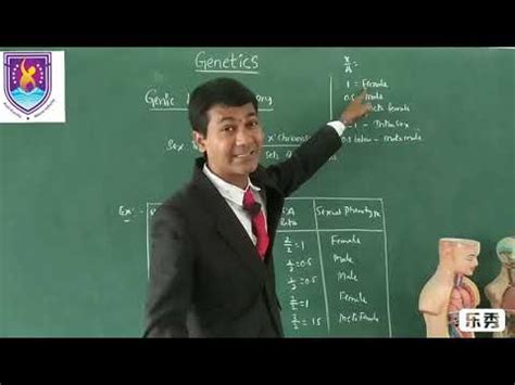 Genic Balance Theory Sex Index Genetics Ncert Xii Class By