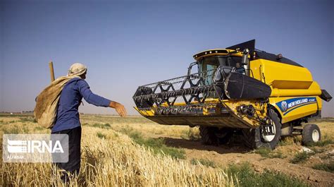 Iran Raises Guaranteed Purchase Price For Wheat By