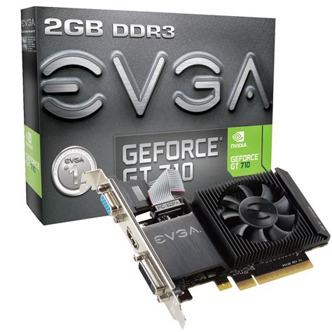 EVGA Announces Its GeForce GT 710 Lineup TechPowerUp