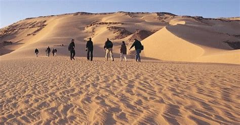 From Cairo Whale Valley And Wadi El Rayan Waterfalls Tour Cairo Egypt