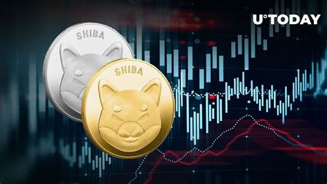 SHIB Price Acts Impressive Amid 13 Trillion Shiba Inu Token Transfer