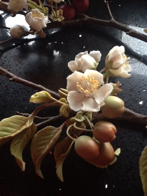 Pin on Fiori in porcellana fredda