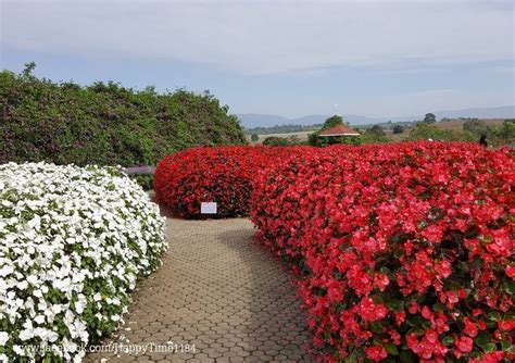 รูป Flora Park Wongnai