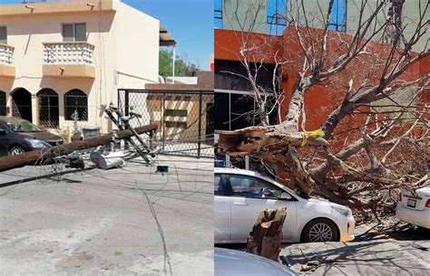 Fuertes vientos causan estragos en Monterrey y su área metropolitana