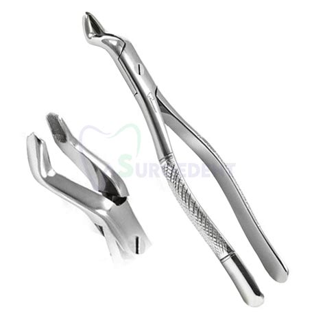 Extraction Forceps Fig L For Upper Roots Surgedent