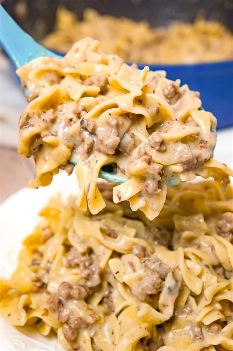 Hamburger Stroganoff Casserole Cream Of Mushroom Recipes Stew Beef