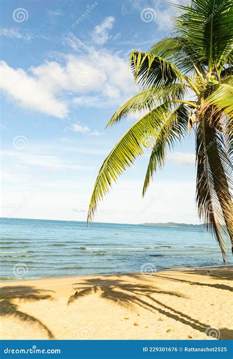 Paradis Tropical De Vacances Avec Plages De Sable Blanc Et Palmiers