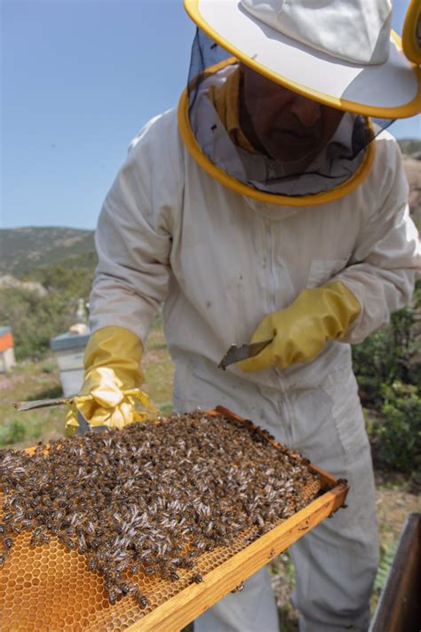 Econom A Coag Denuncia Que Agricultura Quiere Dejar De Subvencionar