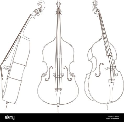 Bass Drawing On White Stock Vector Image And Art Alamy