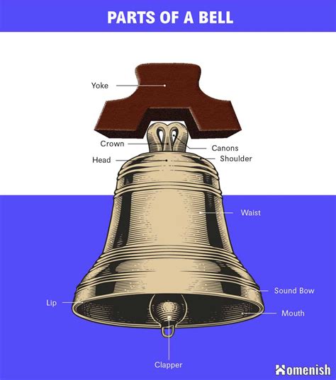 10 Parts Of A Bell Diagram Inc Homenish