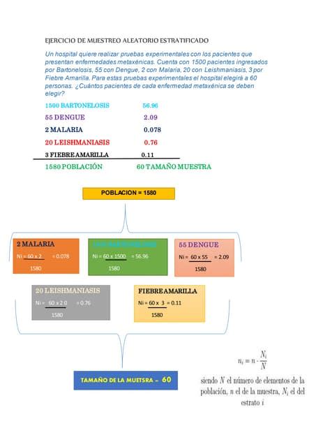 Ejercicio De Muestreo Aleatorio Estratificado Pdf