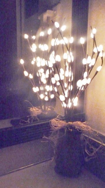 ATTIC CLUTTER Pussy Willow Lights