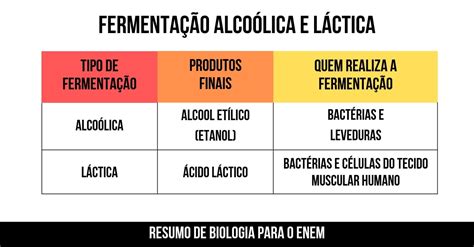 Fermentação Resumo - Fermentação alcoólica e láctica - Resumo de Biologia para o Enem