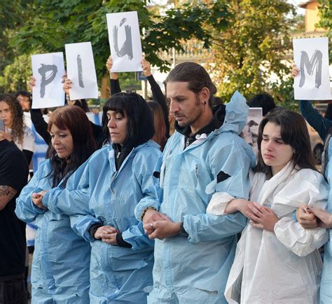 Peste Suina Arriva Il Via Libera DellEuropa Meno Vincoli Per Gli