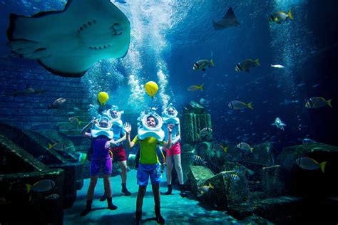 Suite Of The Week The Incredible Underwater Suites At Atlantis The