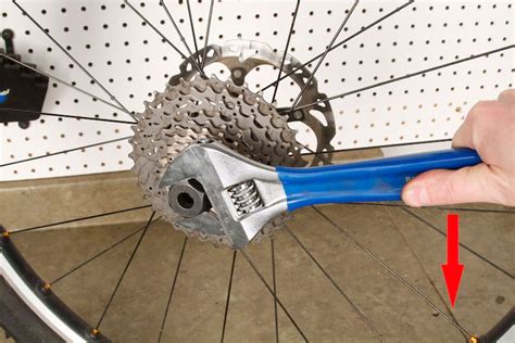 Removing Rear Sprockets Cassette Or Freewheel Bike Gremlin