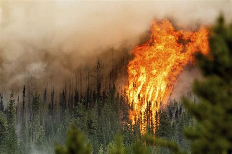 Los Incendios De Canadá De Este Año Batieron El Récord De Emisiones A