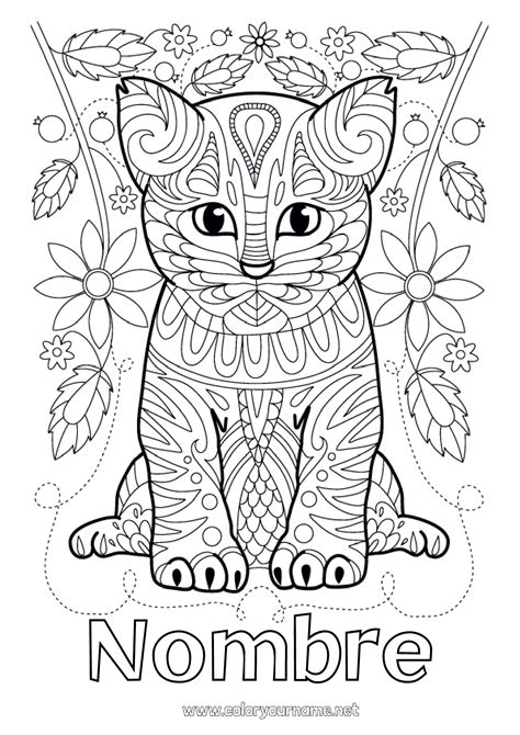 Nº de colorear 1089 Lindo Flores Cat