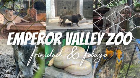 Travel Vlog Lets Visit Trinidads Emperor Valley Zoo Youtube