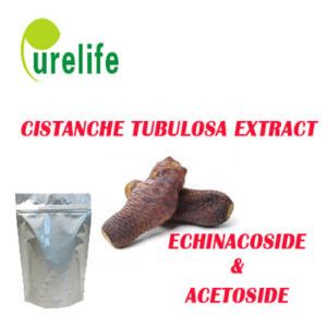 Cistanche Tubulosa Extract Purelife Bio