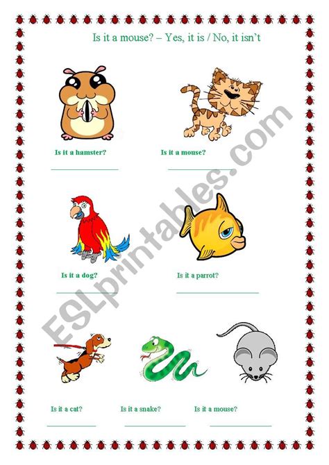 Animals Yes It Is No It Isn´t Esl Worksheet By Puzyra