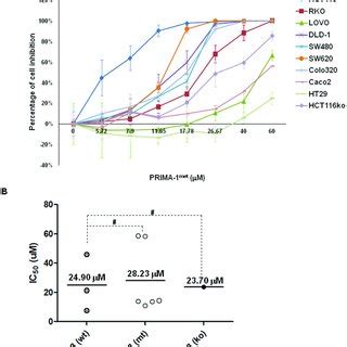 PRIMA 1 Met Induced Apoptosis In CRC Cell Lines A Apoptosis Of