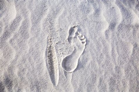 Empreinte De Pas Sur Des Sables Photo stock Image du côte onde 22254