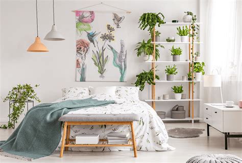 Plantas Para Quarto Esp Cies Que V O Melhorar Seu Sono