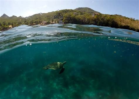 Best Gopro Dive Masks Mounts Masks For Scuba Snorkel