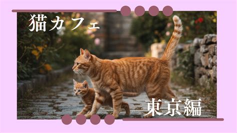 【2025年最新】毛が長い犬種21選！憧れの大型犬から可愛い小型犬まで、特徴とお手入れのコツを徹底解説 ペットスポット