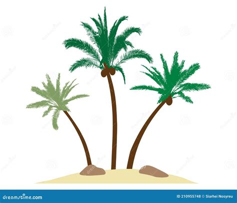 Beautiful Palm Trees With Coconuts On Island Sand Stones Vector