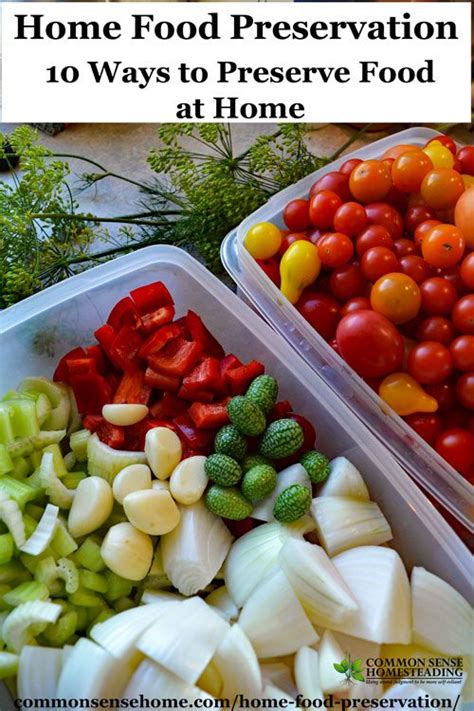 Home Food Preservation 10 Ways To Preserve Food At Home Total Survival