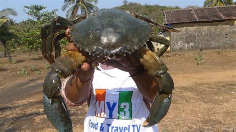 Worlds Biggest Crab Making Grilled Crab Food Factory Big Crab