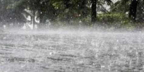 Maharashtra Unseasonal Rains Hit Parts Of Nashik