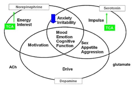 Behaviour Drugs Flashcards Quizlet