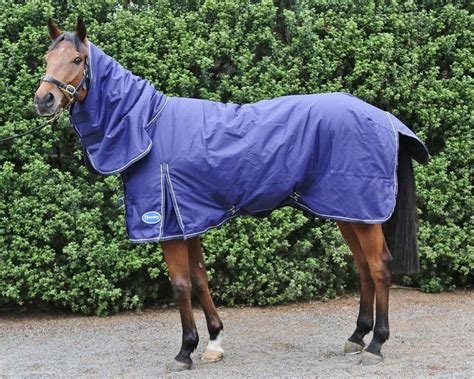 Top 10 Cheap Horse Neck Rugs - Best Horse Blankets