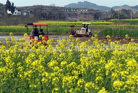 四川蓬安：田间地头耕种忙 人民图片网