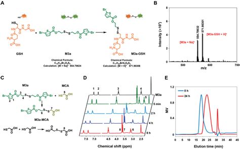 The Gsh‐triggered Degradation Of Psp A Schematic Illustration Of The