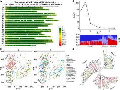 Frontiers Population Genomics And Haplotype Analysis In Bread Wheat