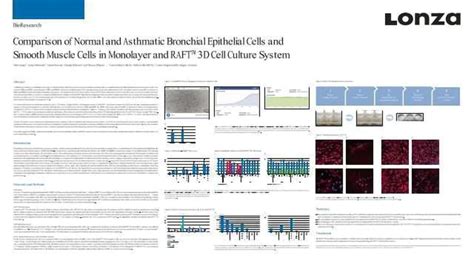 Comparison Of Normal And Asthmatic Bronchial Epithelial Cells And