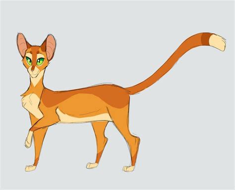 Warrior Cats Firestar Design