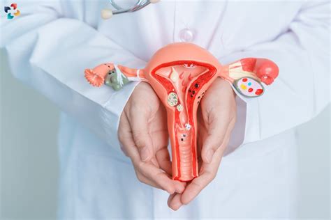 Cervical Cancer Symptoms Causes And Prevention The Lifesciences