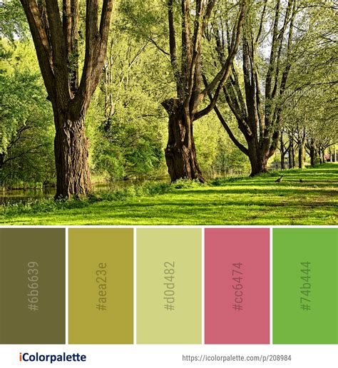 Color Palette Ideas From Nature Images Icolorpalette Nature